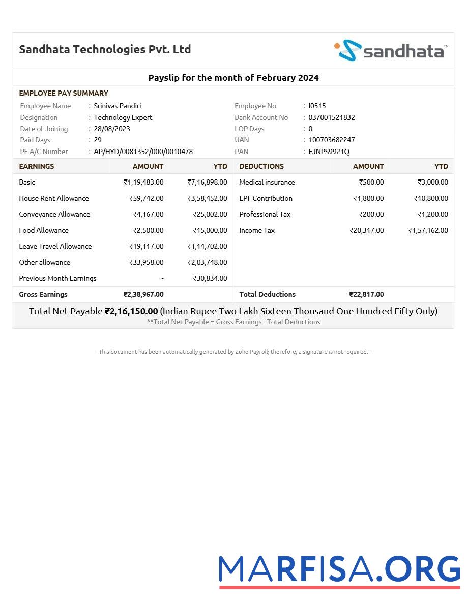 Realistic Sandhata Technologies payslip example